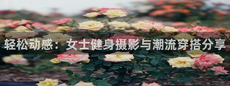 龙八国际娱乐老板是谁