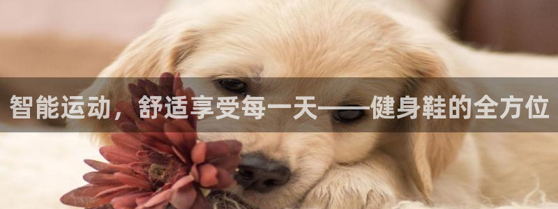 龙8国际头号玩家下载