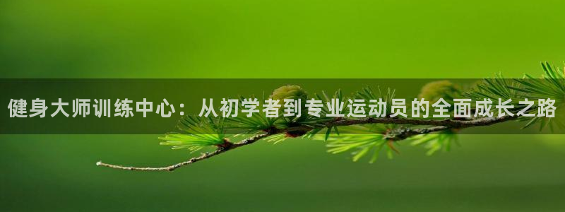 龙8国际老虎机官网